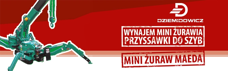 Mini Żuraw Wynajem